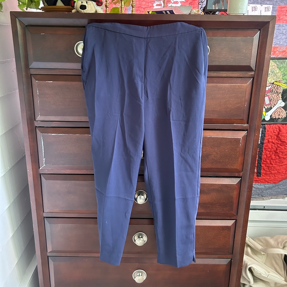 JCrew Blue Trousers